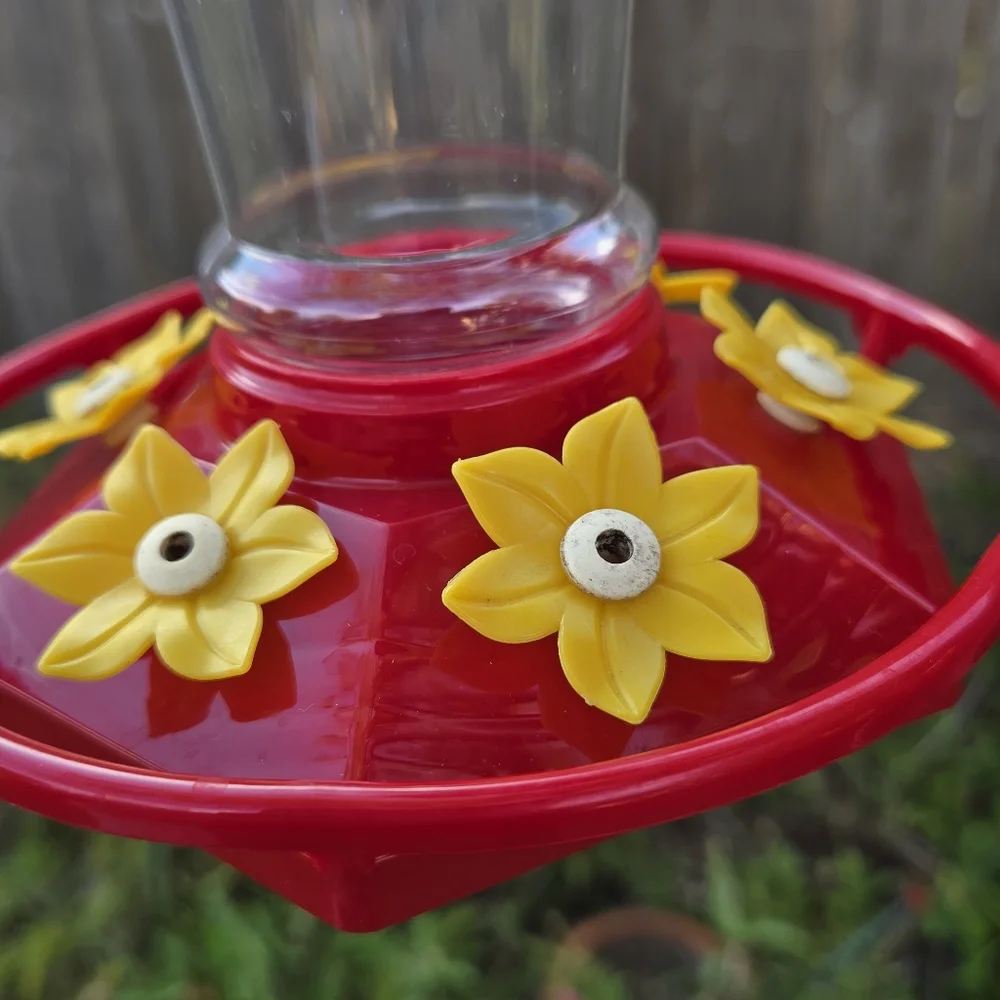 Easy Clean Hummingbird Feeder with ant guard